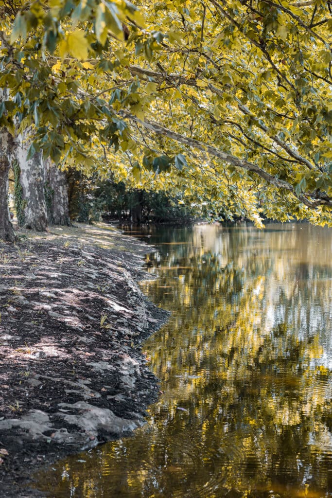 Sangha - 2024.08 - Divers-162